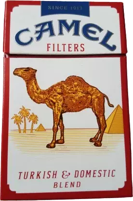 CAMEL FILTERS