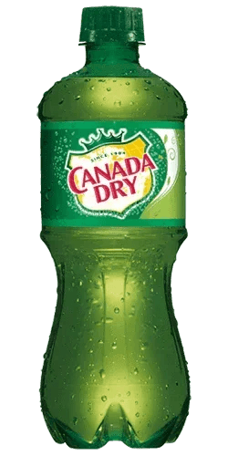 CANADA DRY GINGER ALE 20OZ