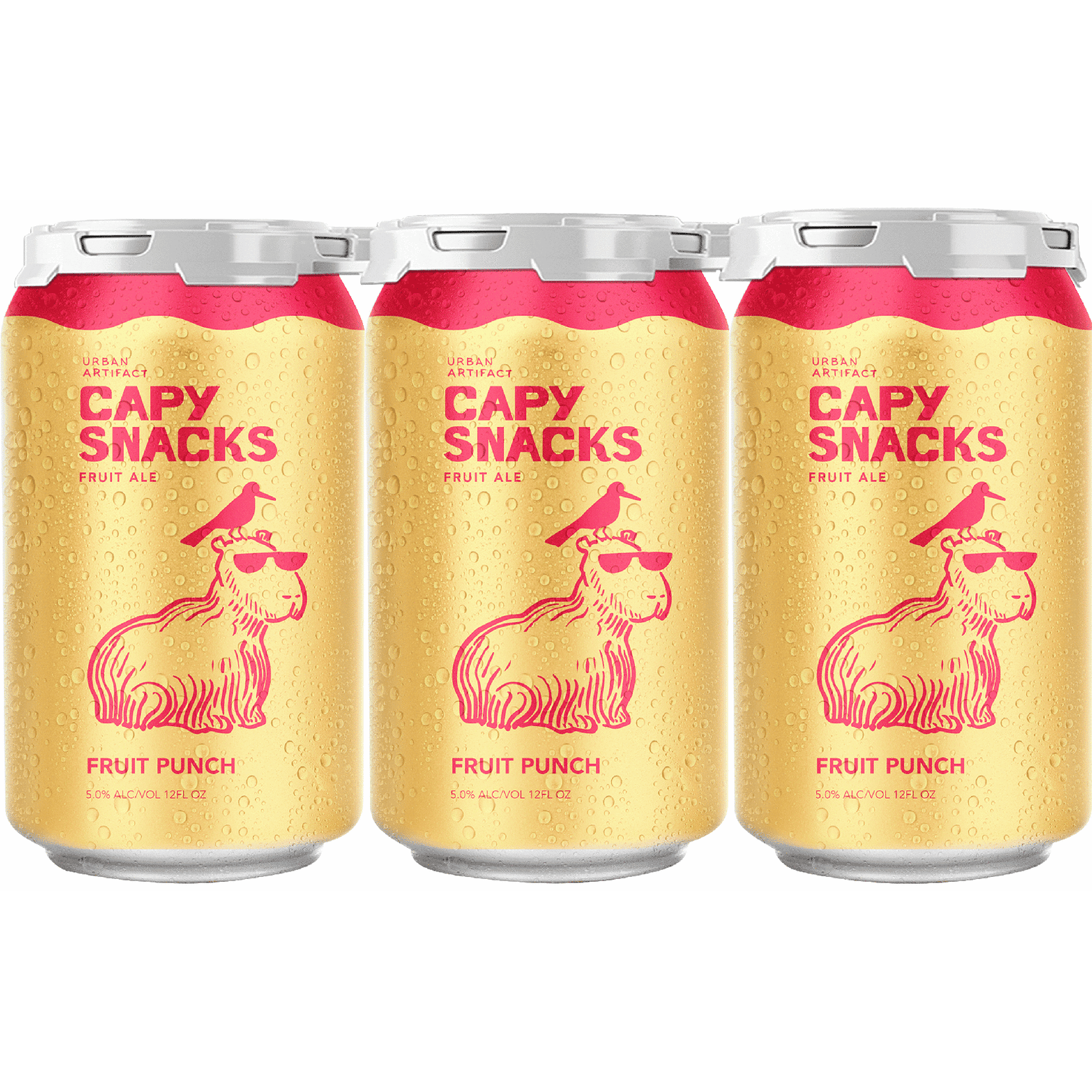 URBAN ARTIFACT CAPY SNACKS 6 PK CANS